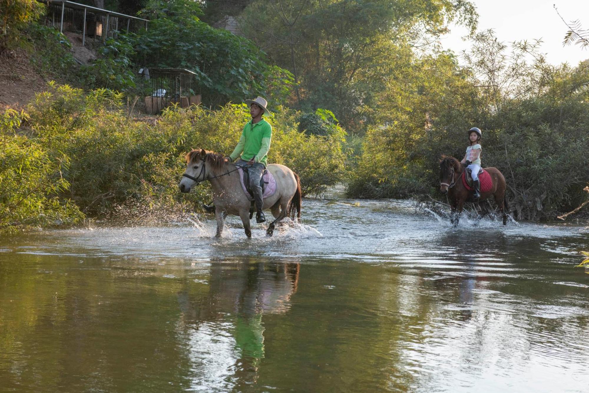 Namkhan Horses Stables Luang Prabang Luaran gambar