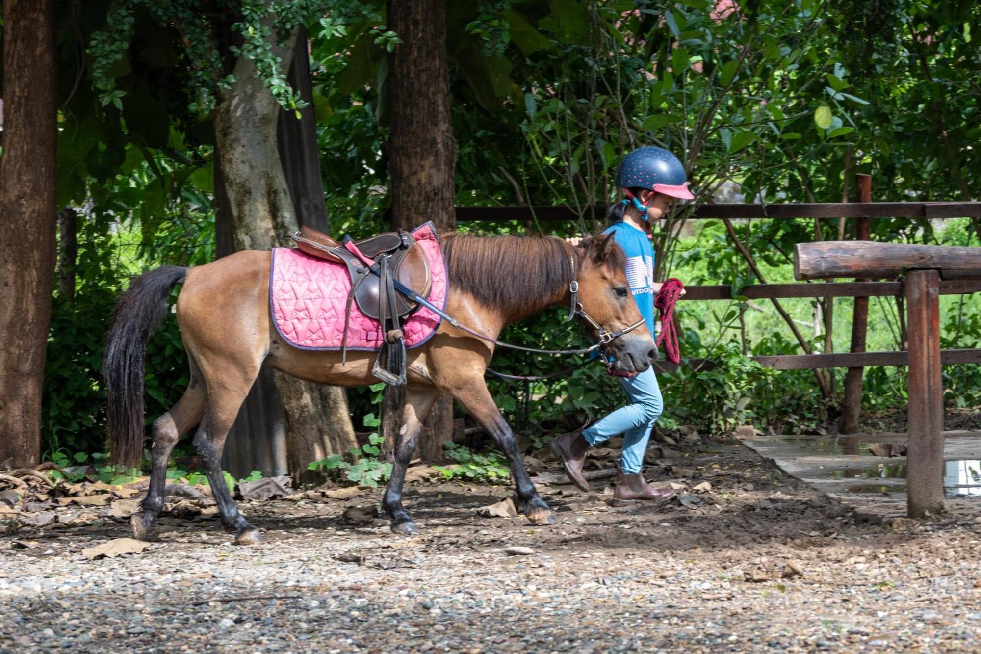 Namkhan Horses Stables Luang Prabang Luaran gambar